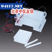 DYCP-31F型  琼脂糖水平电泳仪(槽)(大号)